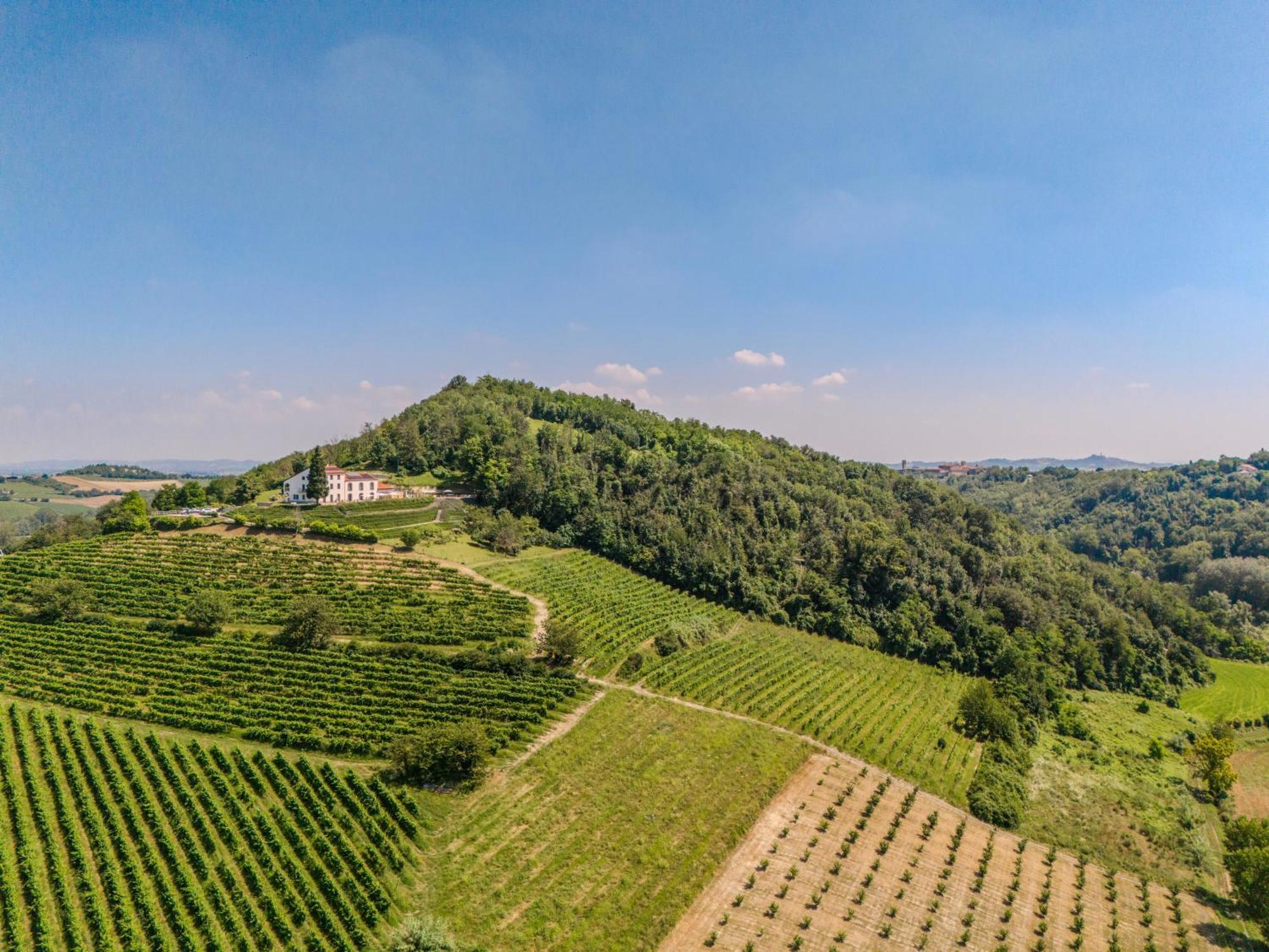 Villa Rocco Country House Ozzano Monferrato 外观 照片